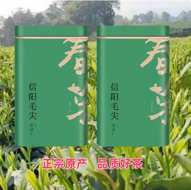 Xinyang Maojian organic green tea